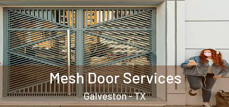 Mesh Door Services Galveston - TX